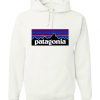 Patagonia Hoodie