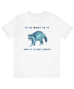 It Is What Is It T-shirt SD